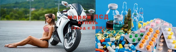 гидра Семилуки