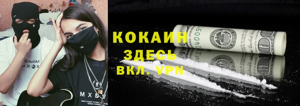 ПСИЛОЦИБИНОВЫЕ ГРИБЫ Семёнов