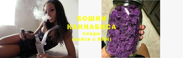 гидра Семилуки
