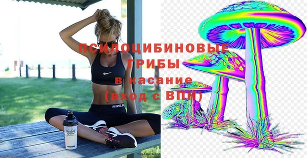 гидра Семилуки