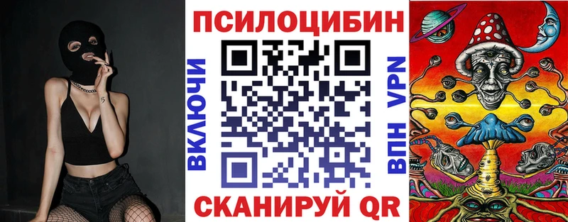 закладка  Тулун  Галлюциногенные грибы GOLDEN TEACHER 