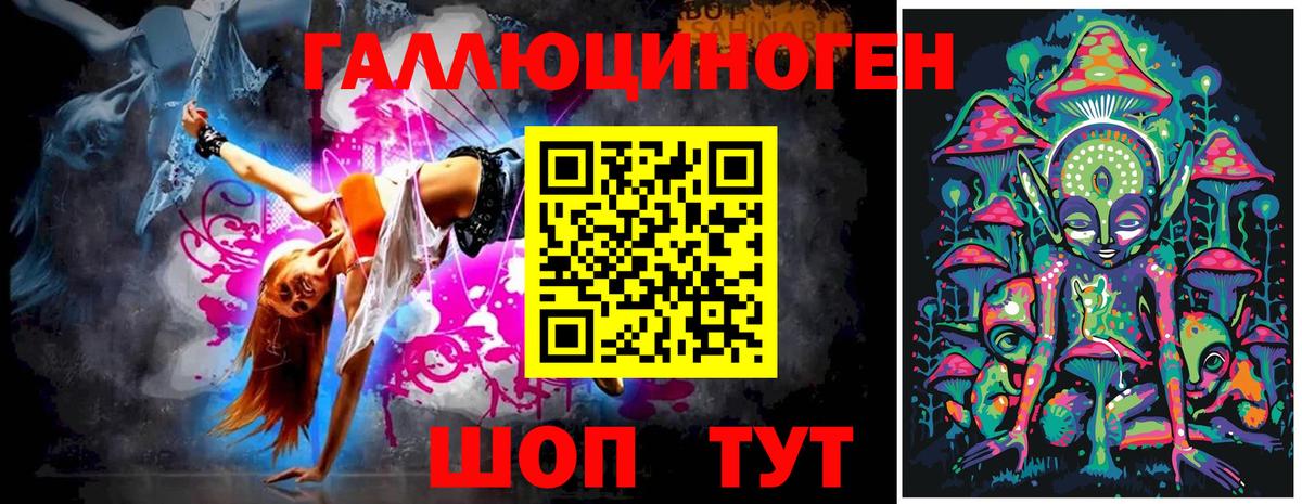 Бошки Шишки Тулун