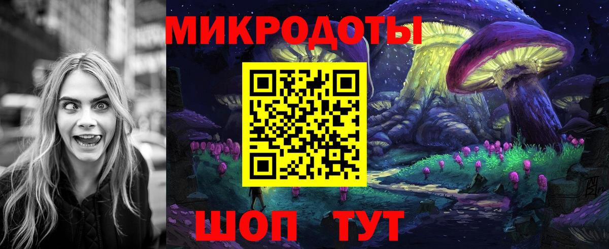 Галлюциногенные грибы Psilocybine cubensis  Тулун 