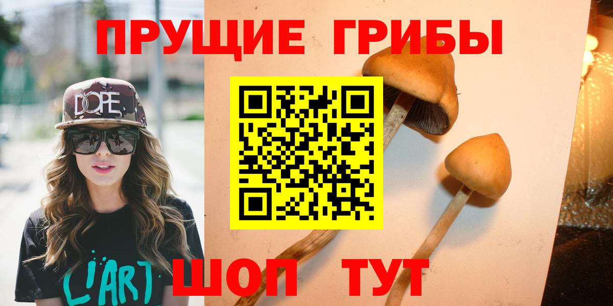 Тулун  что такое наркотик  Вход с VPN  Псилоцибиновые грибы ЛСД 