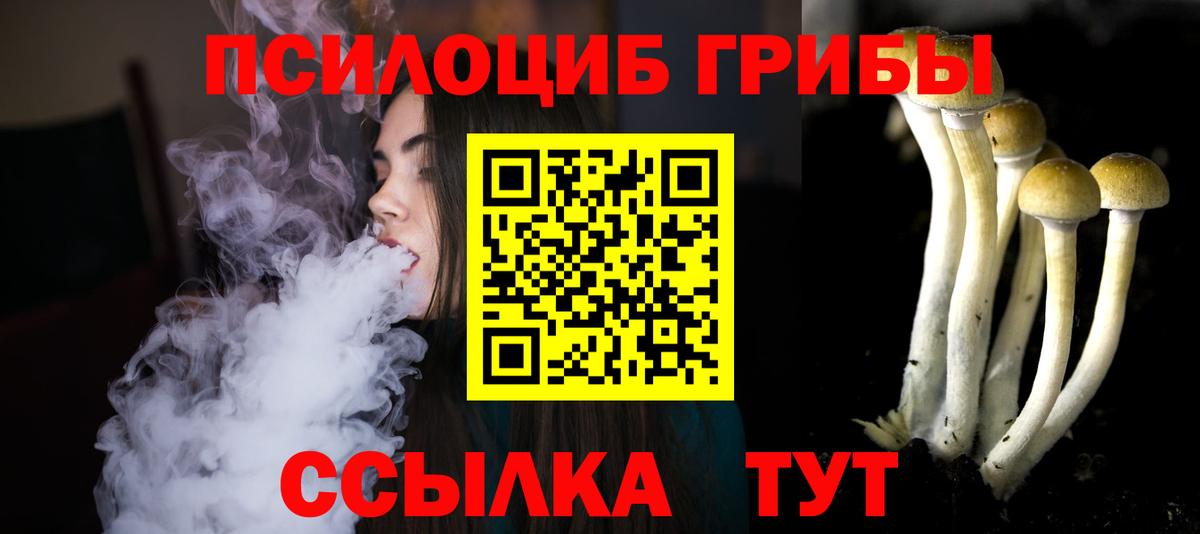 Псилоцибиновые грибы MAGIC MUSHROOMS Тулун